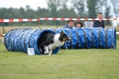 Agilityturnier am 30.06.2007 _301
