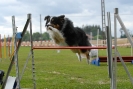 Agilityturnier am 30.06.2007 _303
