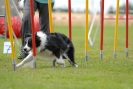 Agilityturnier am 30.06.2007 _304