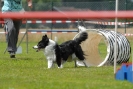 Agilityturnier am 30.06.2007 _305