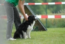 Agilityturnier am 30.06.2007 _307