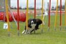 Agilityturnier am 30.06.2007 