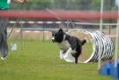 Agilityturnier am 30.06.2007 _310