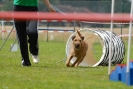 Agilityturnier am 30.06.2007 _312