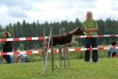 Agilityturnier am 30.06.2007 _313