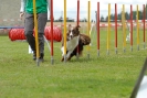 Agilityturnier am 30.06.2007 _315