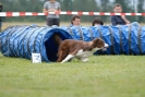 Agilityturnier am 30.06.2007 _316