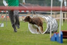 Agilityturnier am 30.06.2007 _317