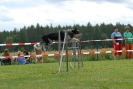 Agilityturnier am 30.06.2007 _319