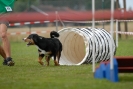 Agilityturnier am 30.06.2007 _337