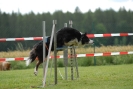 Agilityturnier am 30.06.2007 _339