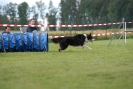 Agilityturnier am 30.06.2007 _340