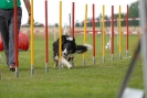 Agilityturnier am 30.06.2007 _341