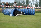 Agilityturnier am 30.06.2007 _342