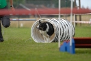 Agilityturnier am 30.06.2007 _343