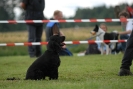Agilityturnier am 30.06.2007 _348