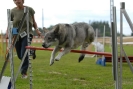 Agilityturnier am 30.06.2007 _357