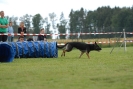 Agilityturnier am 30.06.2007 _358
