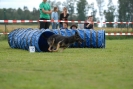 Agilityturnier am 30.06.2007 _360