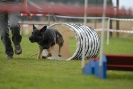 Agilityturnier am 30.06.2007 _361