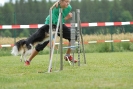 Agilityturnier am 30.06.2007 _365