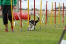 Agilityturnier am 30.06.2007 _366