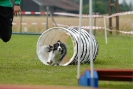 Agilityturnier am 30.06.2007 _368