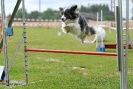 Agilityturnier am 30.06.2007 _369