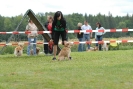 Agilityturnier am 30.06.2007 _370