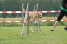 Agilityturnier am 30.06.2007 _371