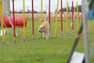 Agilityturnier am 30.06.2007 _373