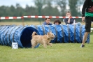 Agilityturnier am 30.06.2007 _374