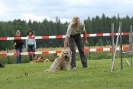 Agilityturnier am 30.06.2007 _376