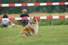 Agilityturnier am 30.06.2007 _382