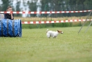 Agilityturnier am 30.06.2007 _393