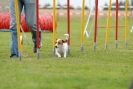 Agilityturnier am 30.06.2007 _394