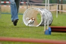 Agilityturnier am 30.06.2007 _396