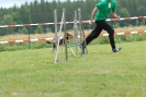 Agilityturnier am 30.06.2007 _402