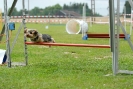 Agilityturnier am 30.06.2007 _407