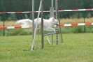 Agilityturnier am 30.06.2007 _409