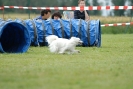 Agilityturnier am 30.06.2007 _411