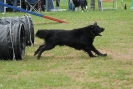 Agilityturnier am 30.06.2007 _416