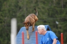 Agilityturnier am 30.06.2007 _418