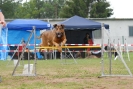 Agilityturnier am 30.06.2007 _419
