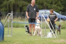 Agilityturnier am 30.06.2007 _423