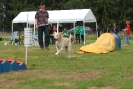 Agilityturnier am 30.06.2007 _424