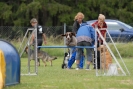 Agilityturnier am 30.06.2007 _429