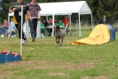 Agilityturnier am 30.06.2007 _430