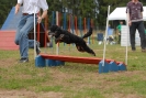 Agilityturnier am 30.06.2007 _450
