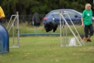 Agilityturnier am 30.06.2007 _452